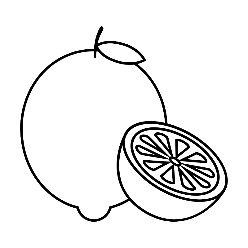 Iconographie
